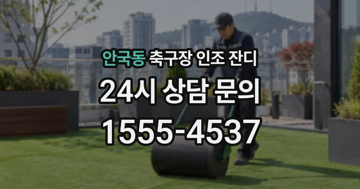 안국동 축구장 인조 잔디
