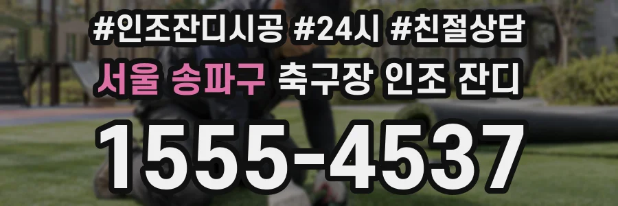 서울 송파구 축구장 인조 잔디