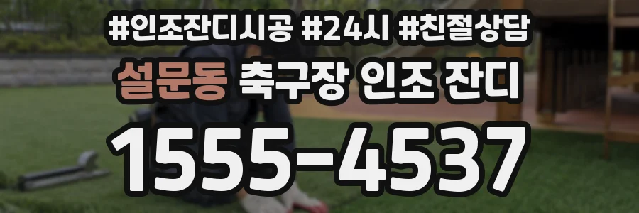 설문동 축구장 인조 잔디