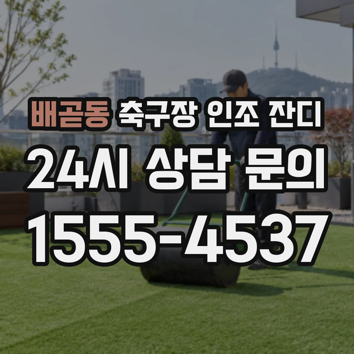 배곧동 축구장 인조 잔디