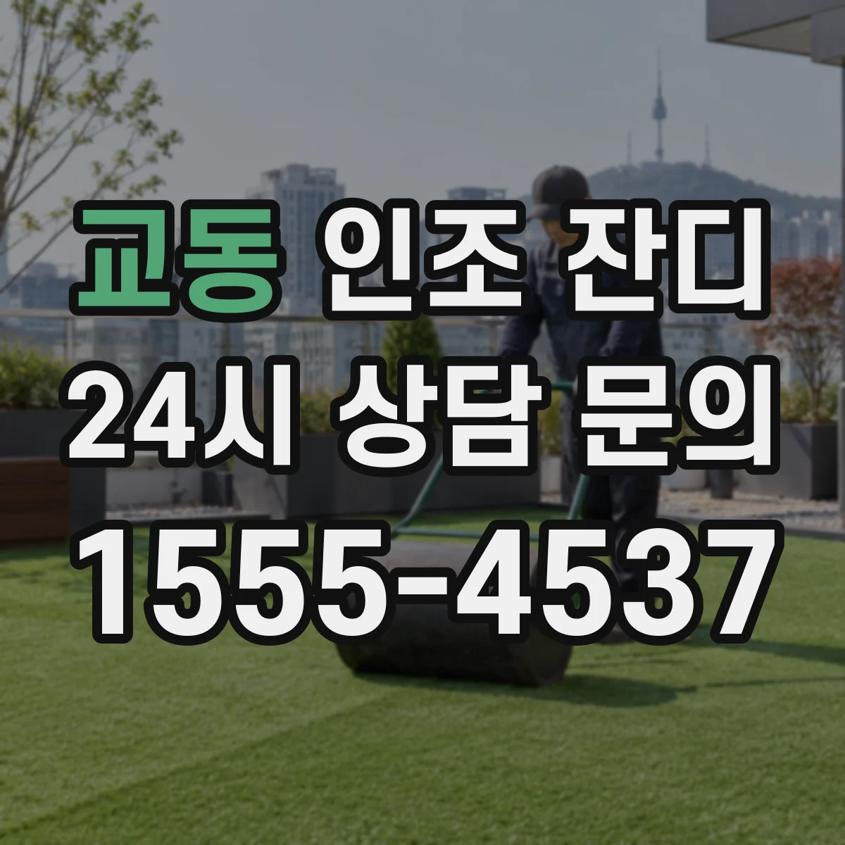교동 인조 잔디