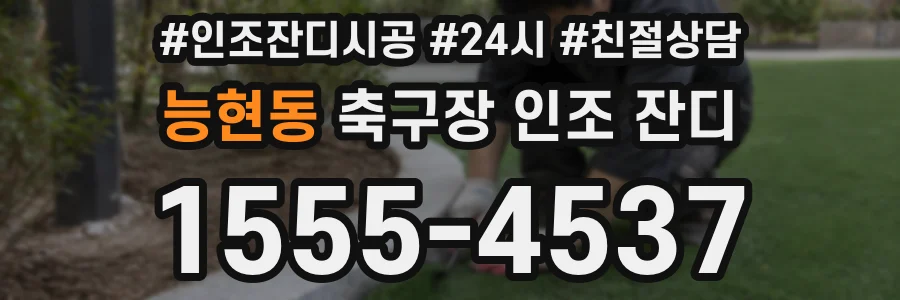 능현동 축구장 인조 잔디