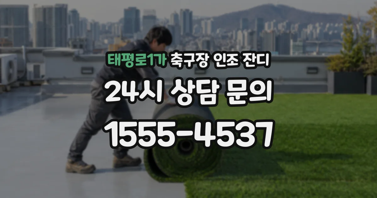 태평로1가 축구장 인조 잔디