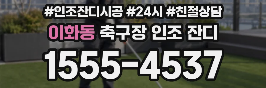 이화동 축구장 인조 잔디