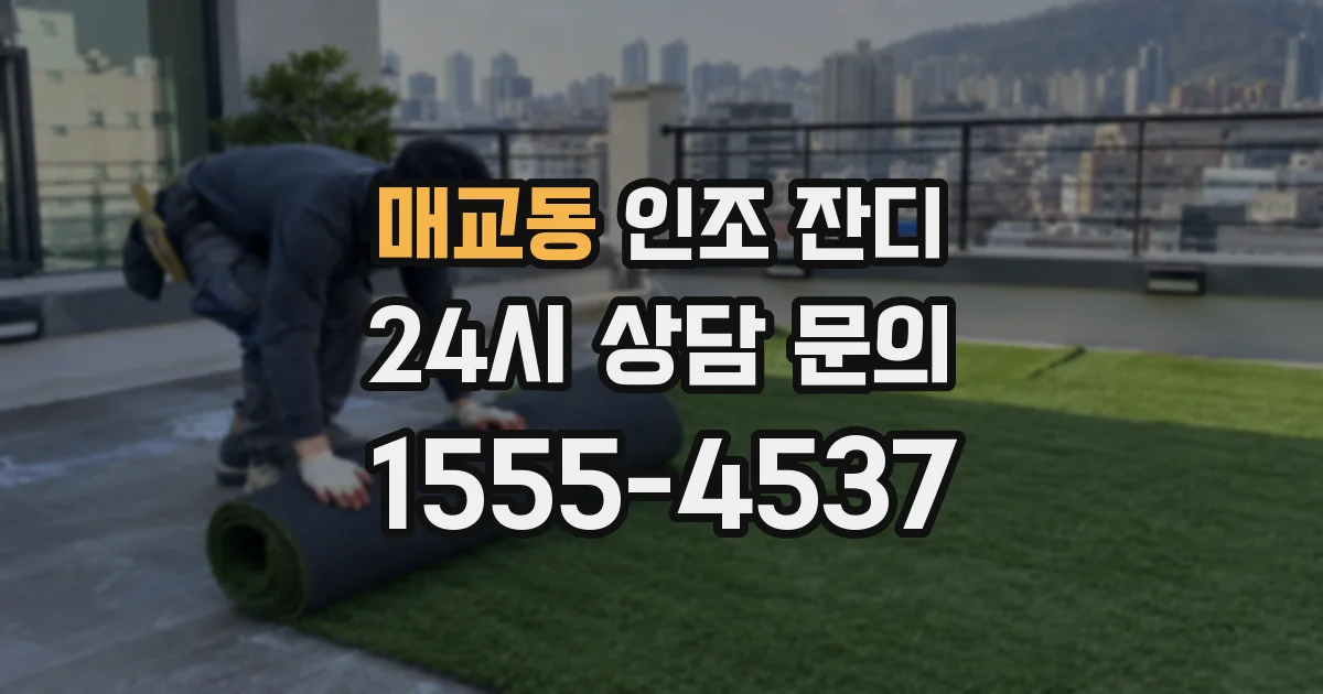 매교동 인조 잔디