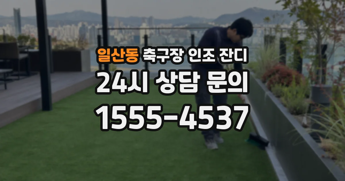 일산동 축구장 인조 잔디