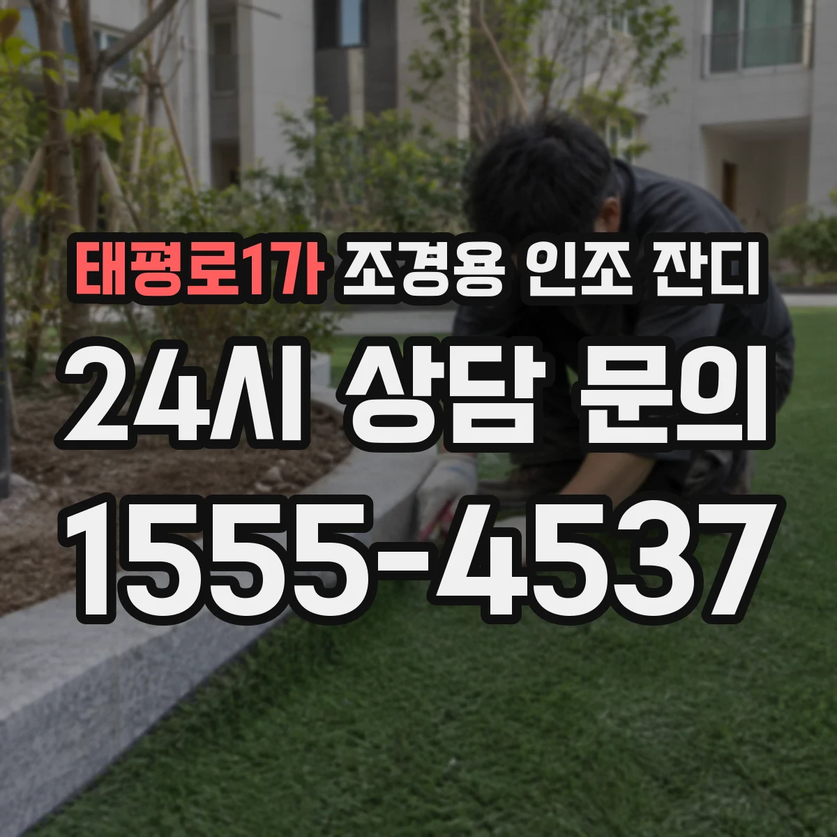 태평로1가 조경용 인조 잔디