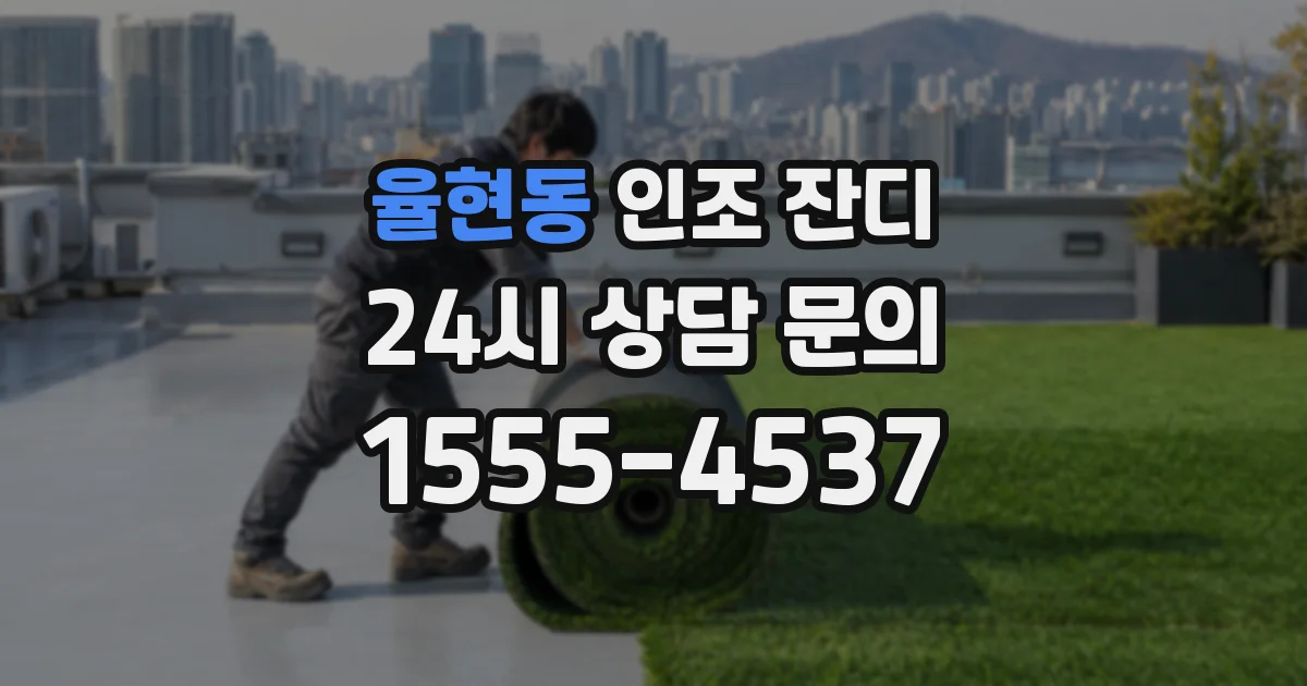 율현동 인조 잔디
