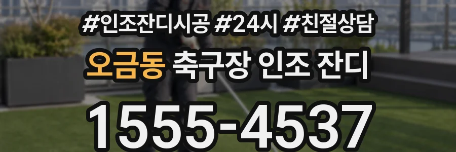 오금동 축구장 인조 잔디