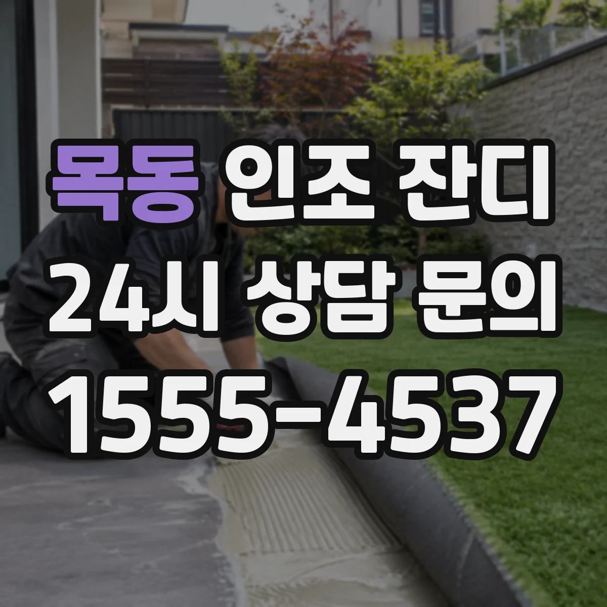 목동 인조 잔디