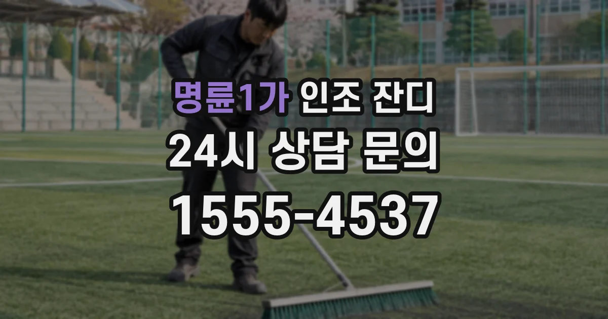 명륜1가 인조 잔디