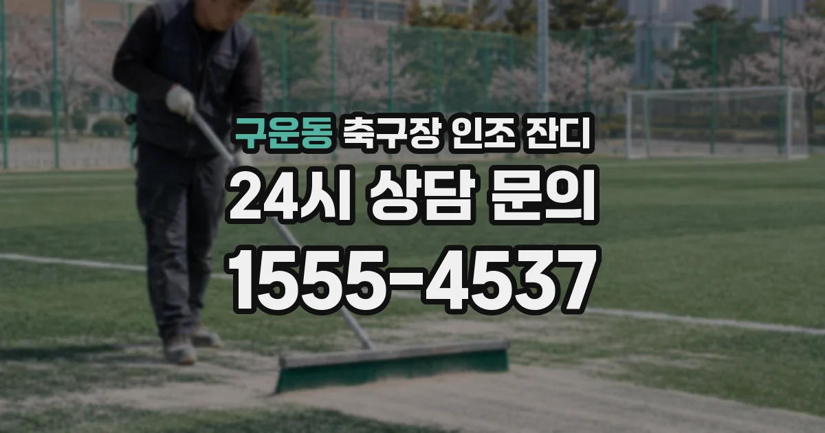 구운동 축구장 인조 잔디