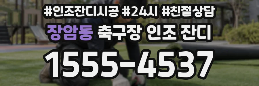 장암동 축구장 인조 잔디