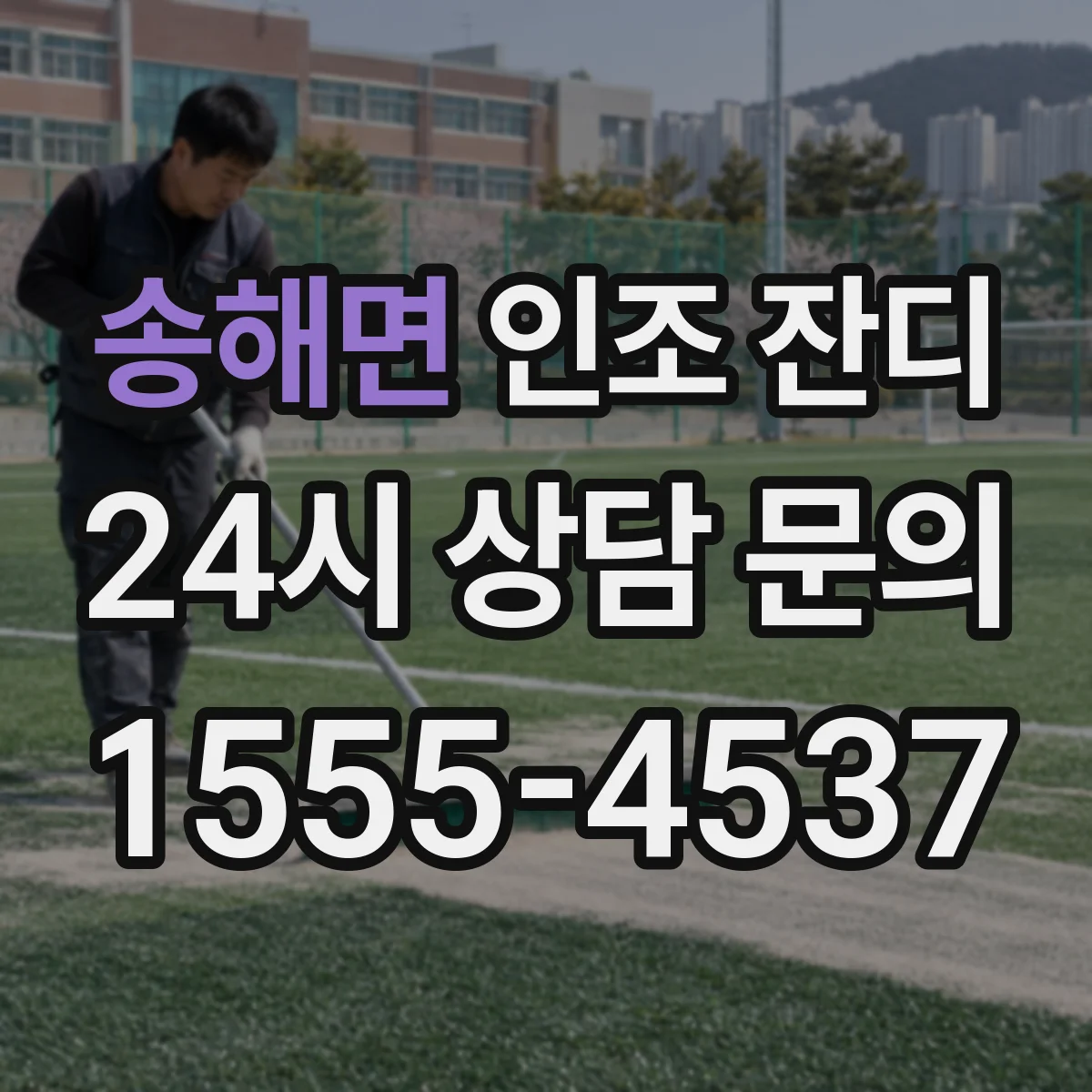 송해면 인조 잔디