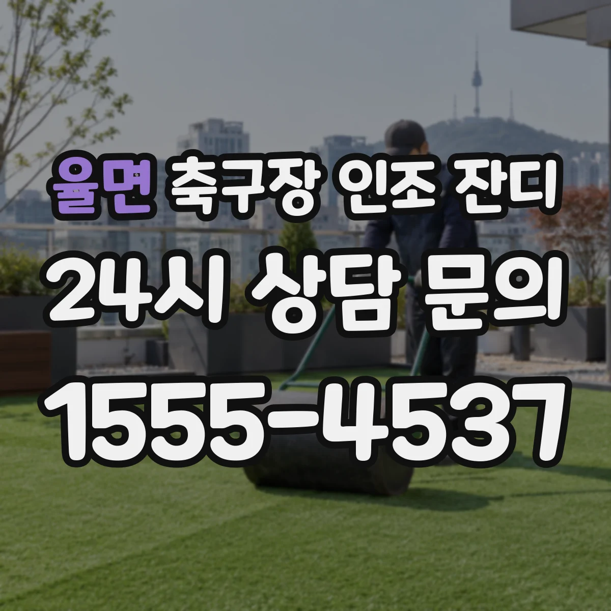 율면 축구장 인조 잔디