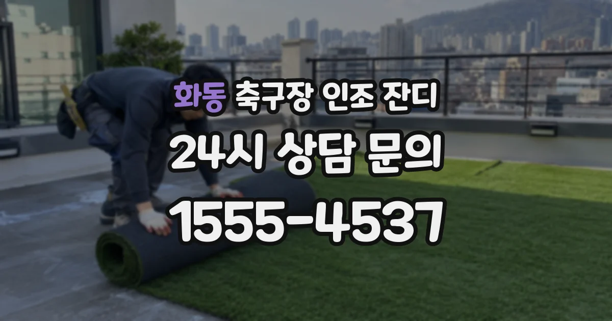 화동 축구장 인조 잔디