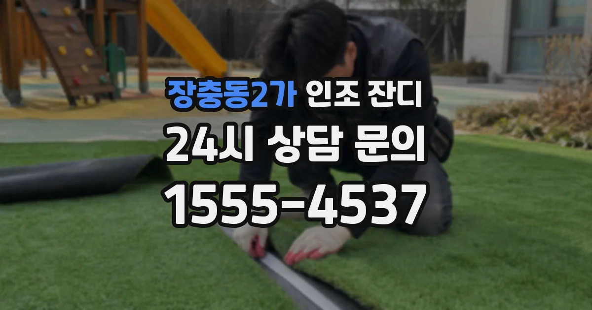 장충동2가 인조 잔디