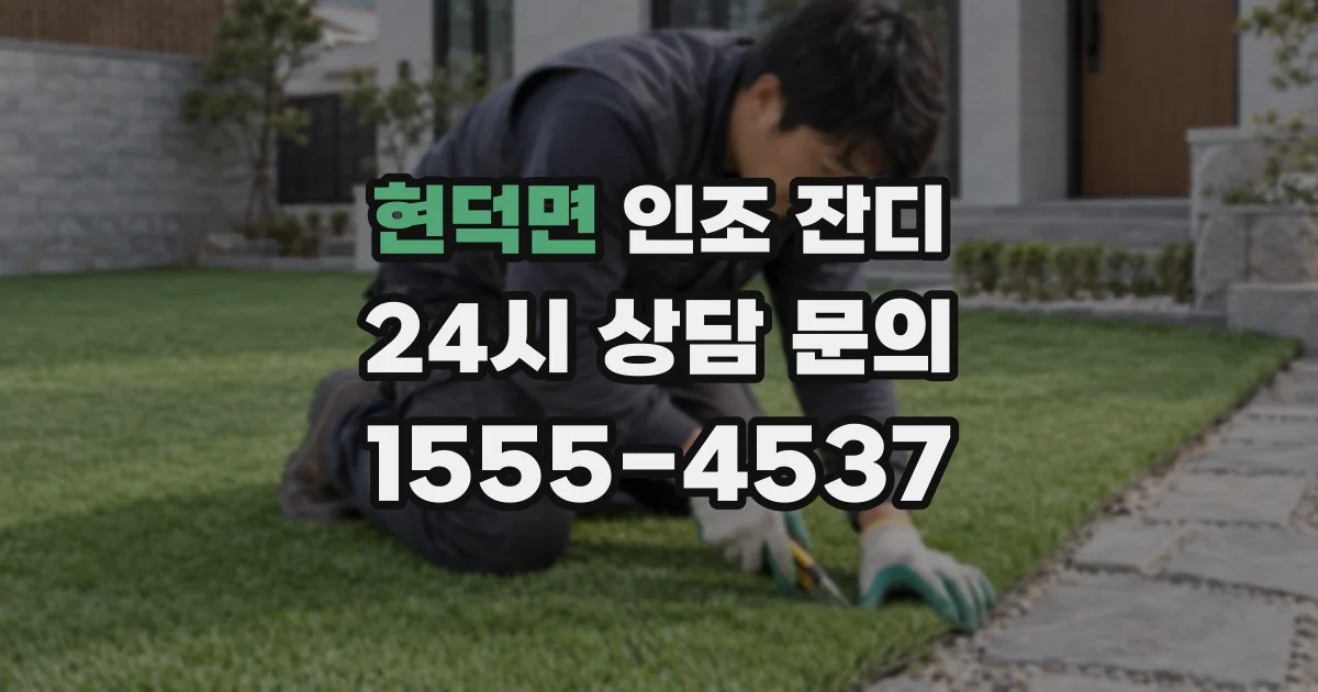 현덕면 인조 잔디