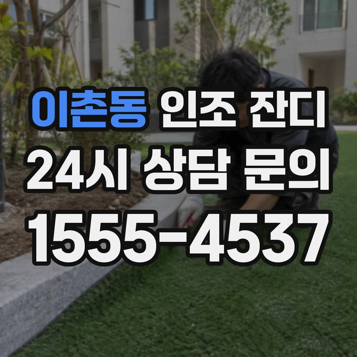이촌동 인조 잔디