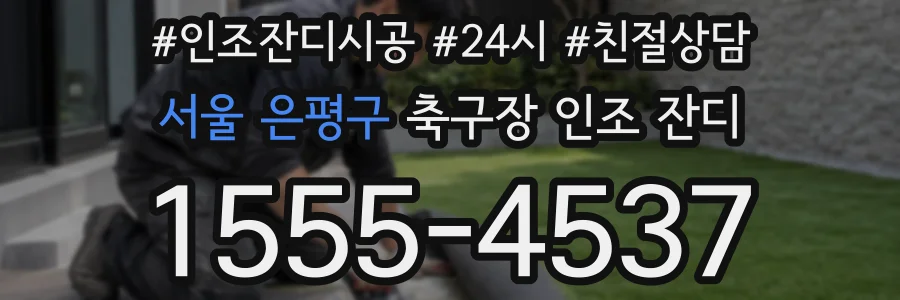 서울 은평구 축구장 인조 잔디