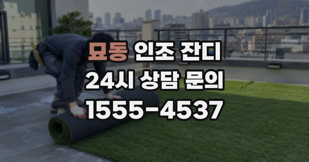 묘동 인조 잔디