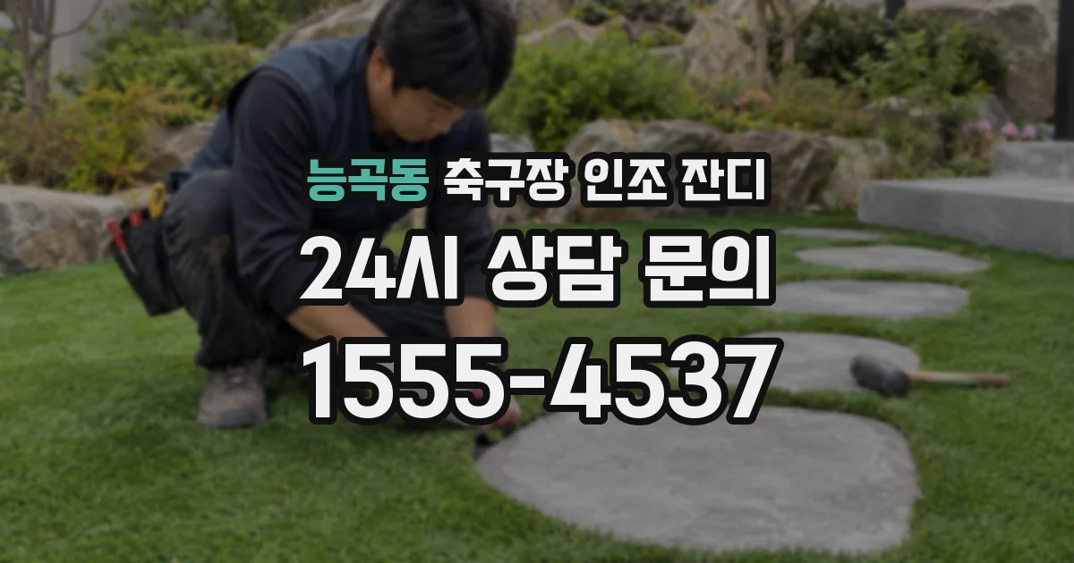 능곡동 축구장 인조 잔디