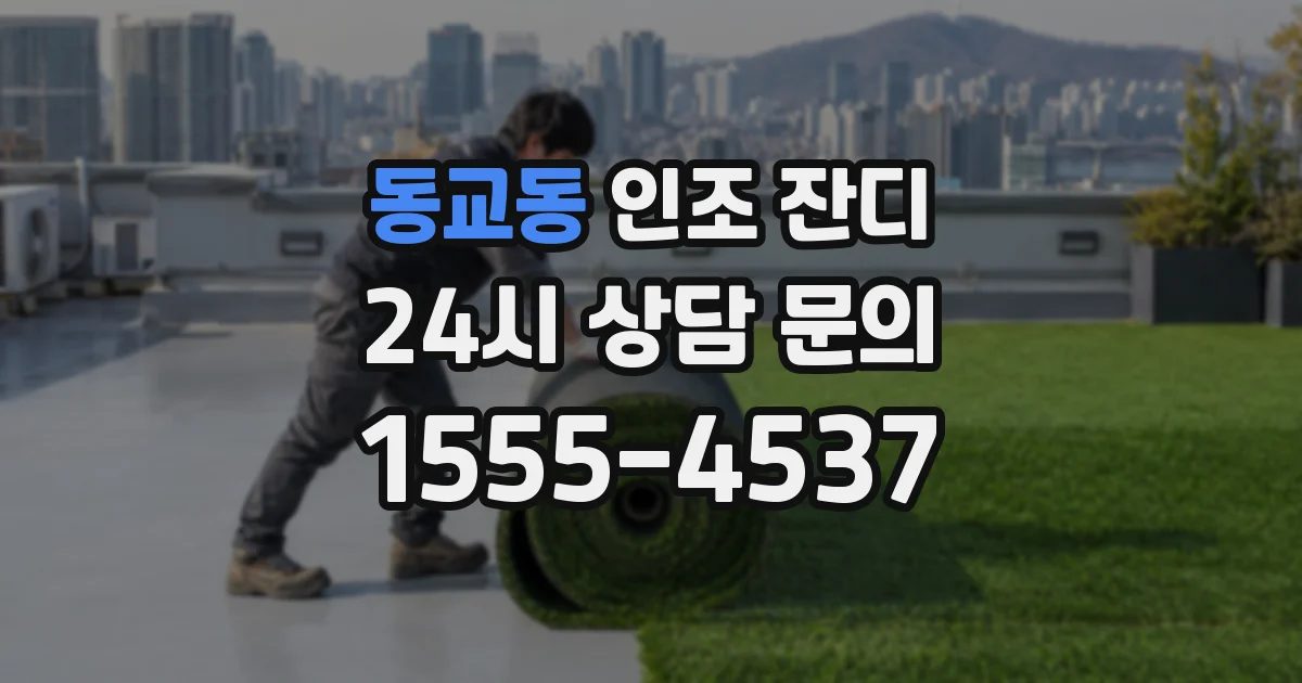 동교동 인조 잔디