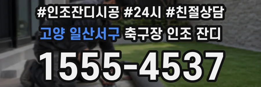 고양 일산서구 축구장 인조 잔디