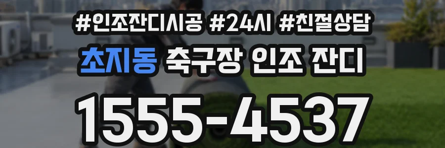 초지동 축구장 인조 잔디