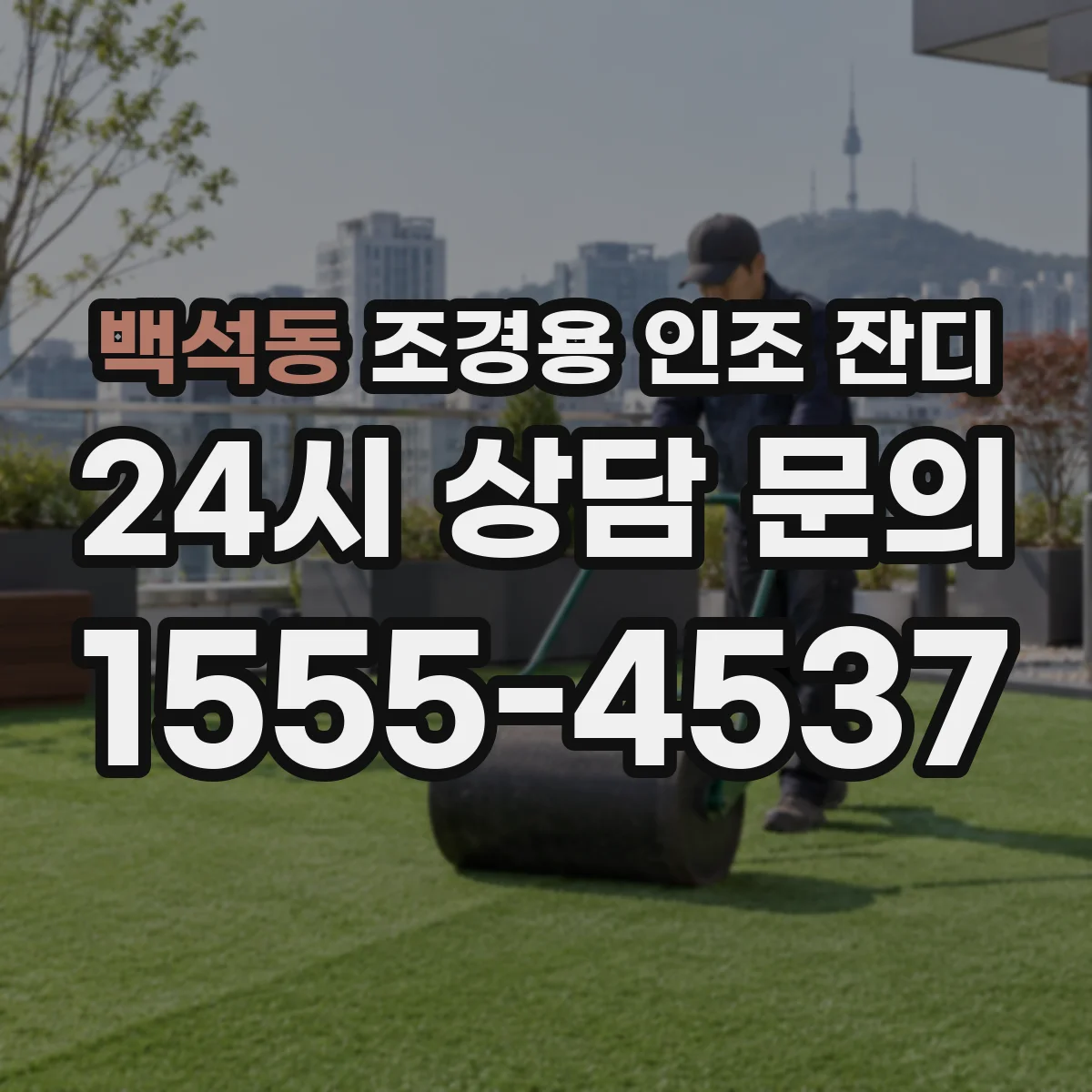 백석동 조경용 인조 잔디