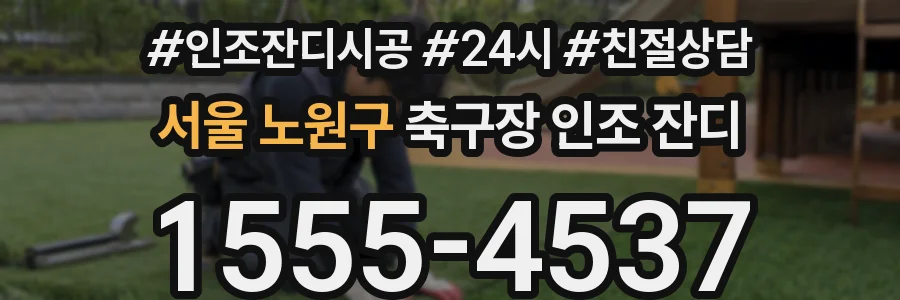 서울 노원구 축구장 인조 잔디