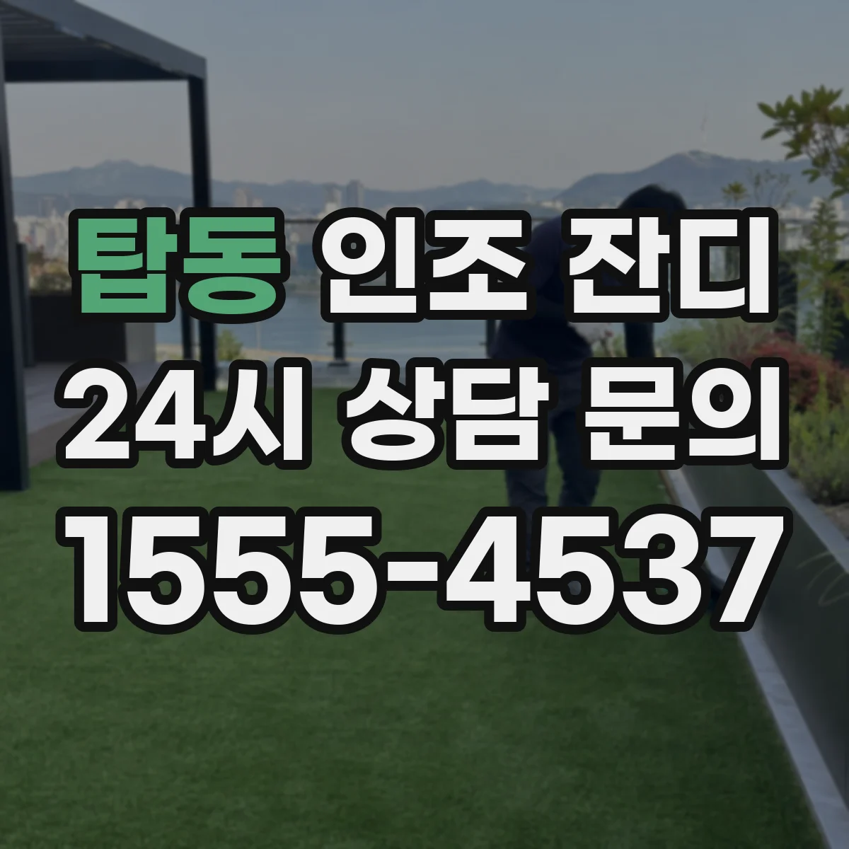 탑동 인조 잔디