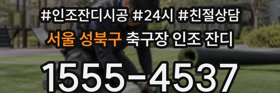 서울 성북구 축구장 인조 잔디