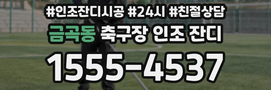 금곡동 축구장 인조 잔디