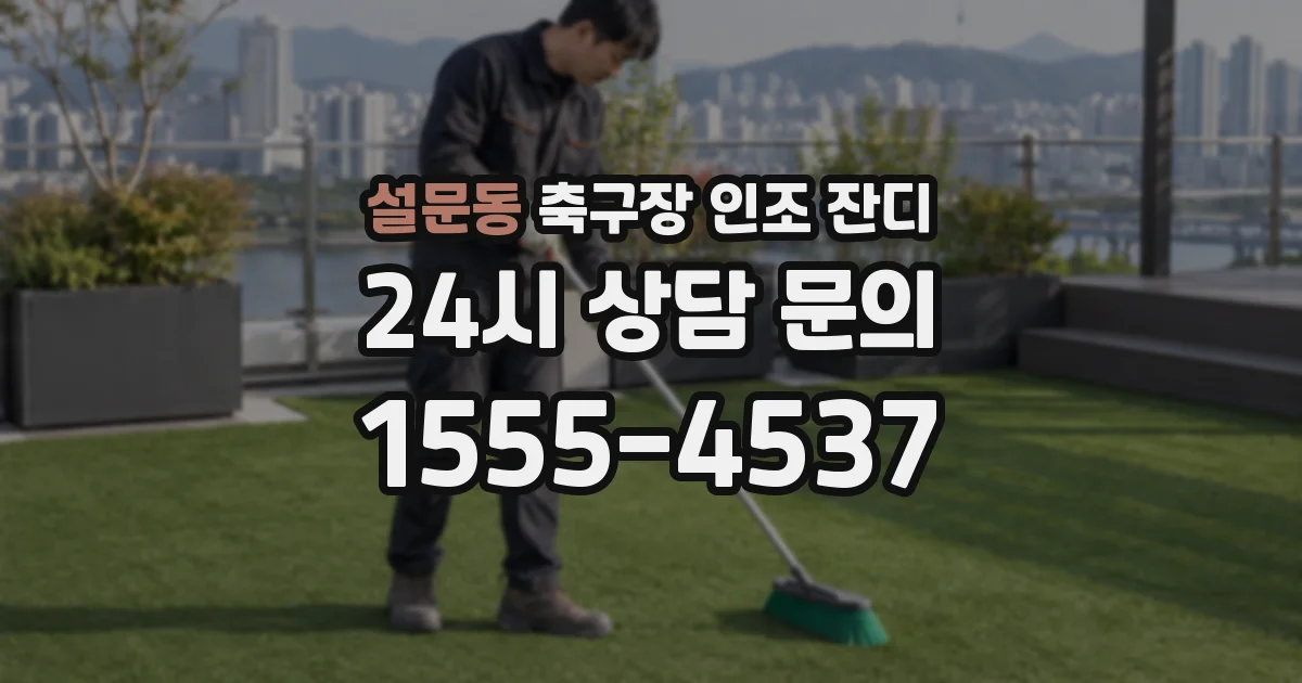 설문동 축구장 인조 잔디