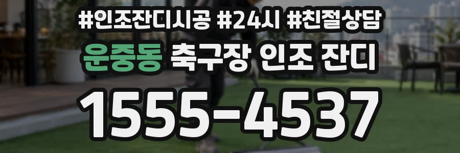 운중동 축구장 인조 잔디
