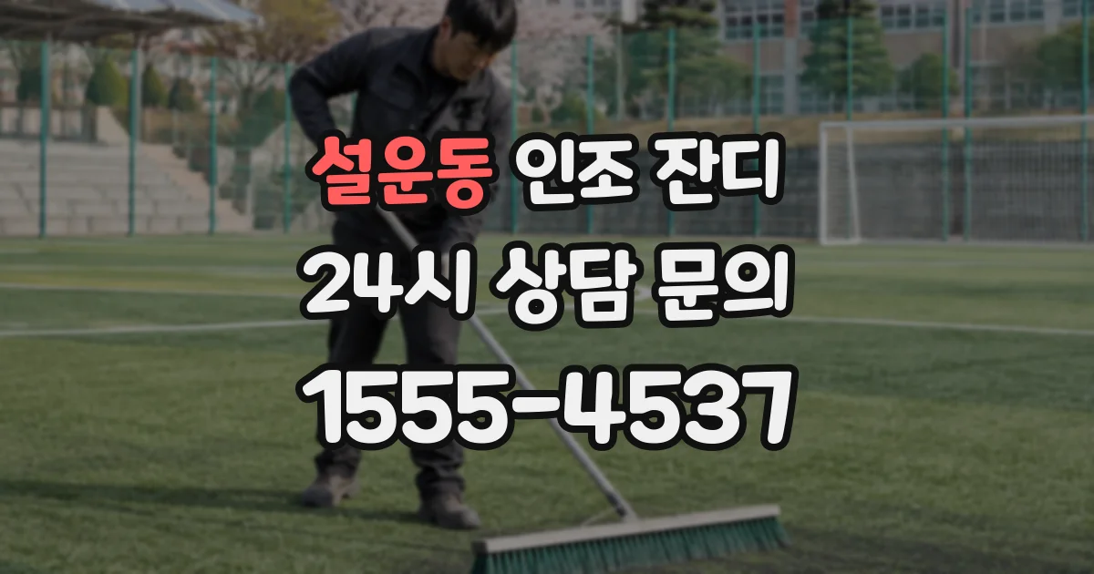 설운동 인조 잔디