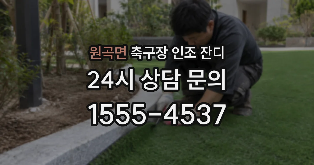 원곡면 축구장 인조 잔디