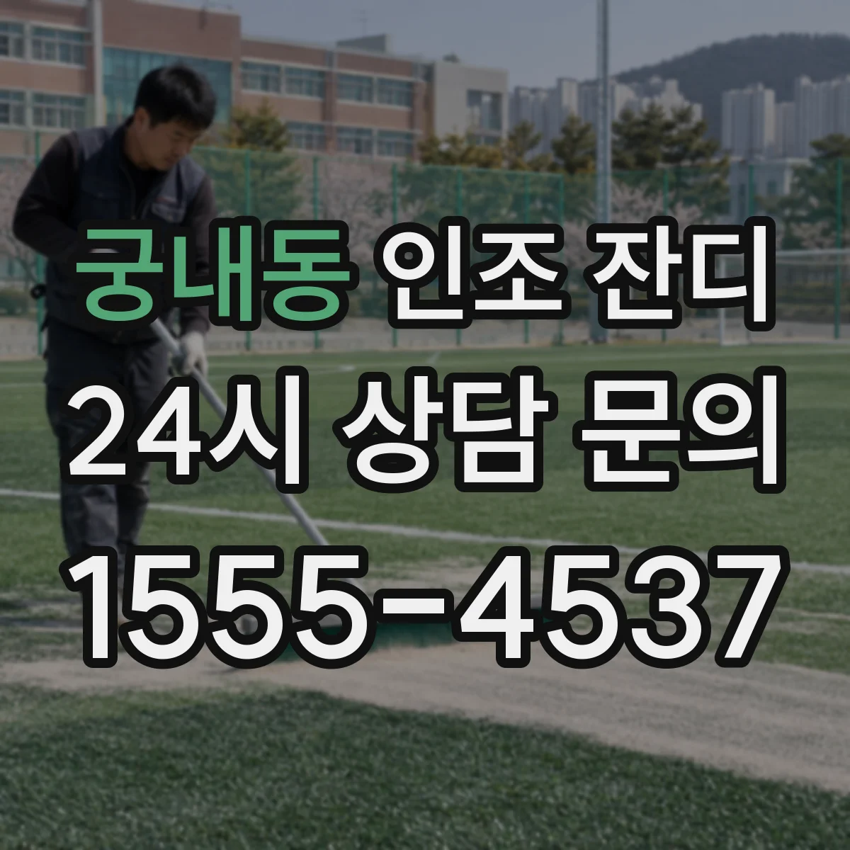 궁내동 인조 잔디