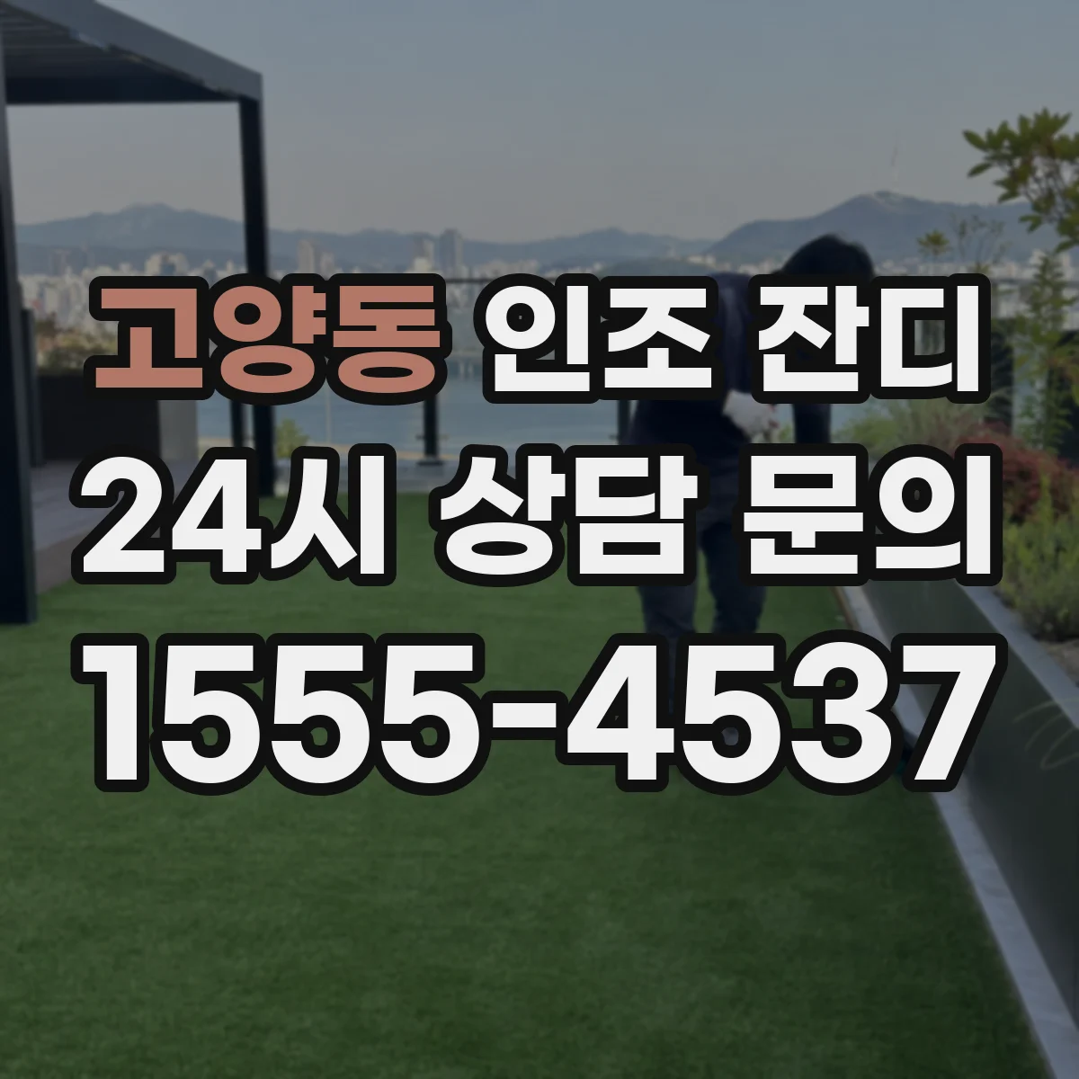 고양동 인조 잔디