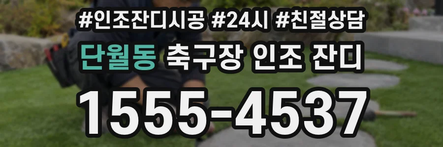 단월동 축구장 인조 잔디
