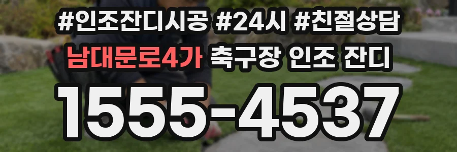 남대문로4가 축구장 인조 잔디