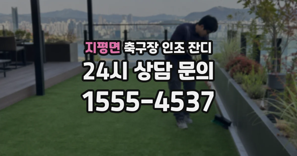 지평면 축구장 인조 잔디