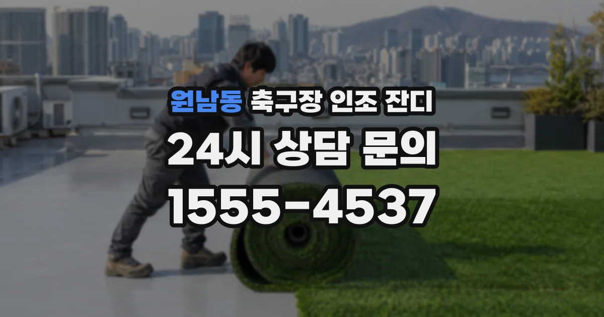 원남동 축구장 인조 잔디