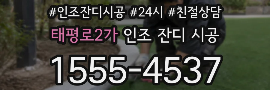 태평로2가 인조 잔디 시공