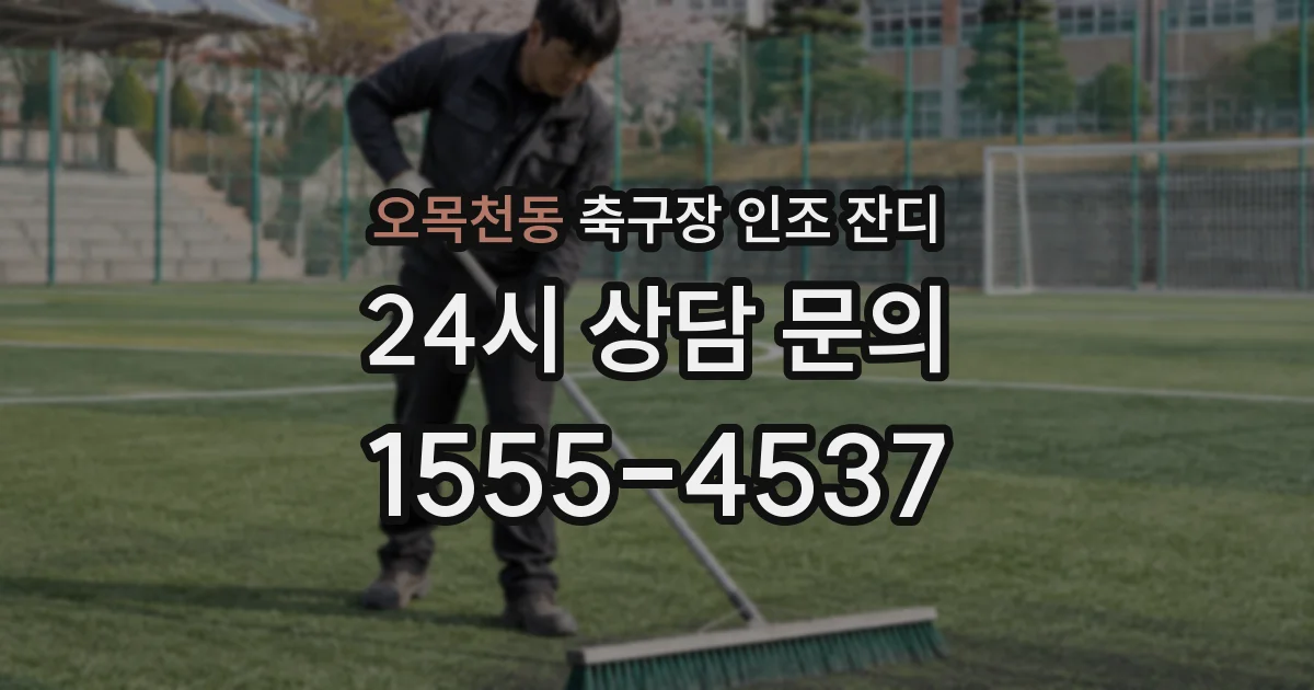 오목천동 축구장 인조 잔디