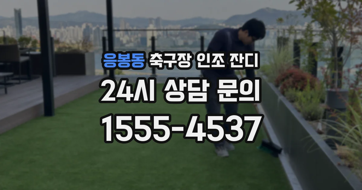 응봉동 축구장 인조 잔디