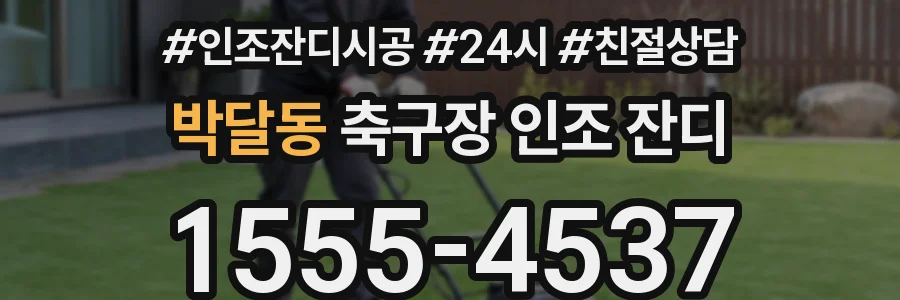 박달동 축구장 인조 잔디