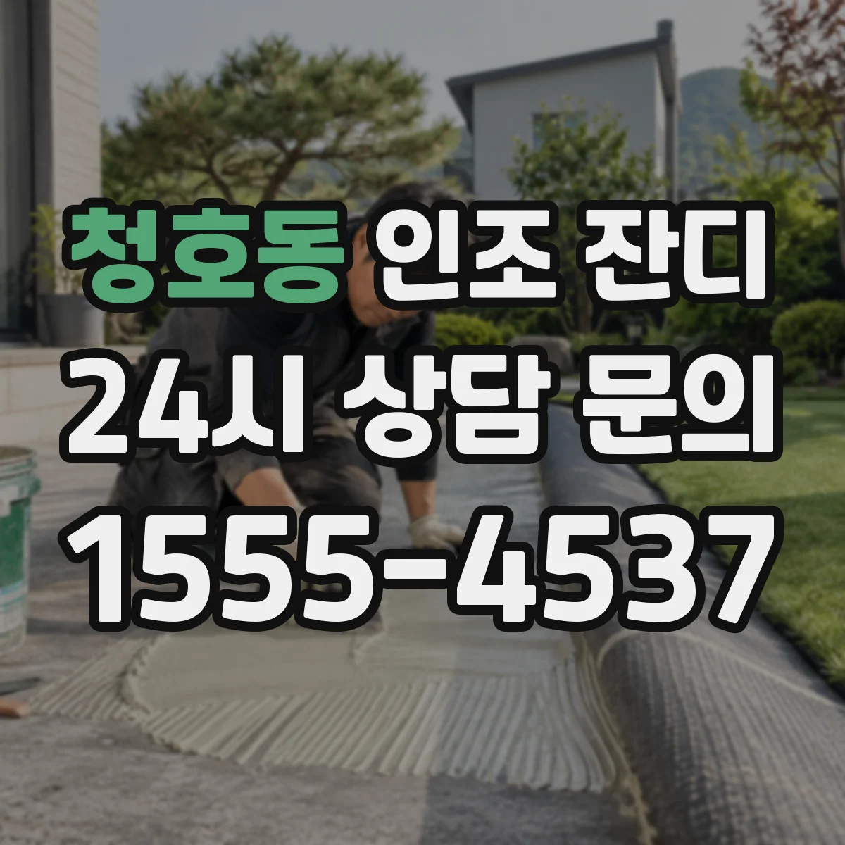 청호동 인조 잔디