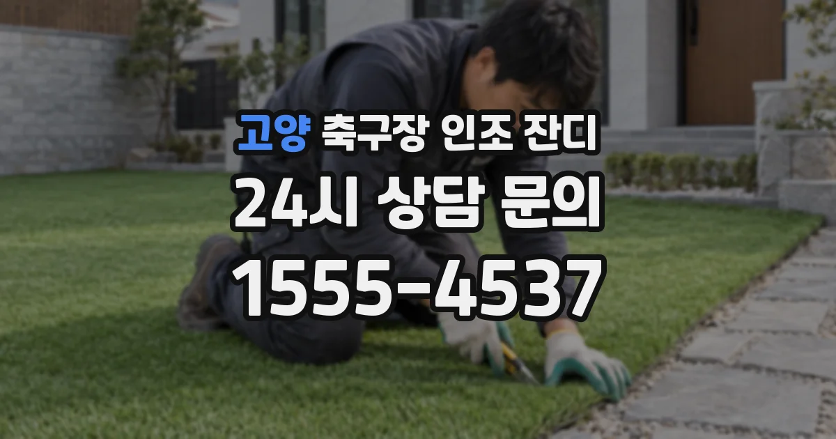 고양 축구장 인조 잔디